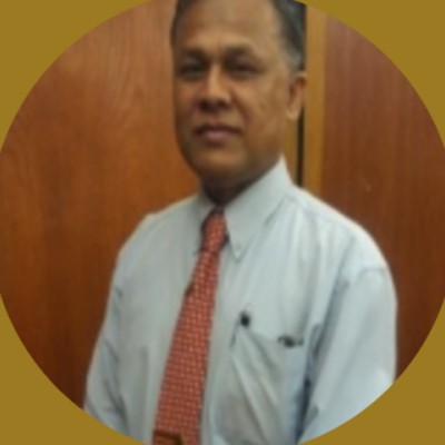 Abdul Razak Ismail, Senior Maritime Advisor